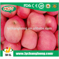 Yantai Fuji Apfel / Bio Obst / Porzellan frischen Apfel in qixia